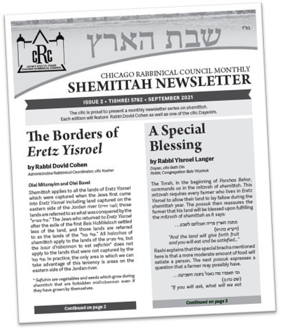 Shemittah Newsletter Issue #2.