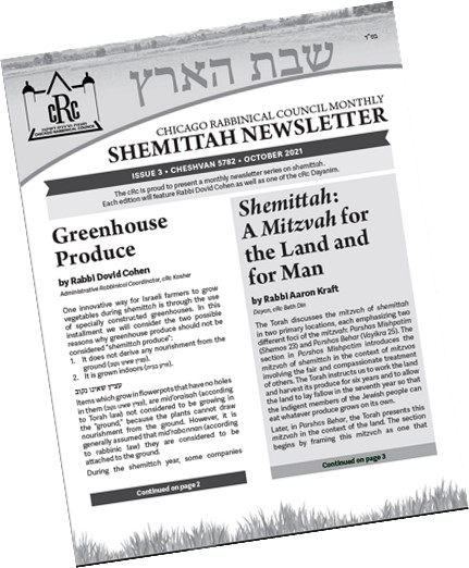 Shemittah Newsletter Issue #3