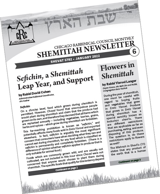 cRc Shemitta Newsletter #6