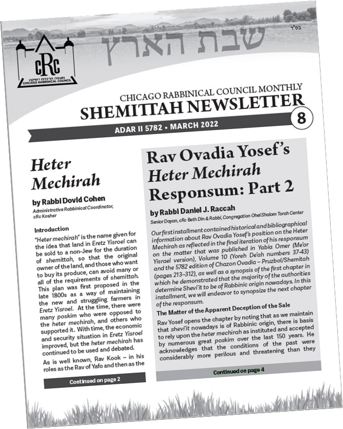 Shemittah Newsletter #8