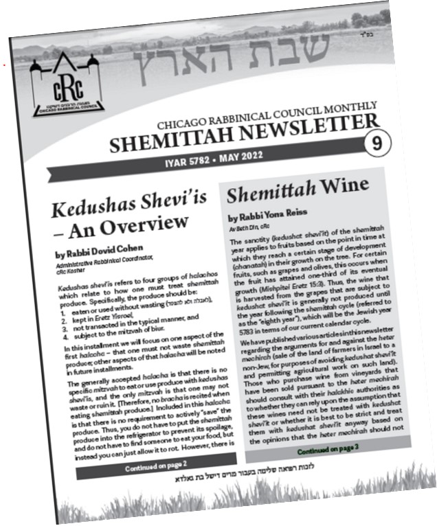 Shemittah Newsletter #9