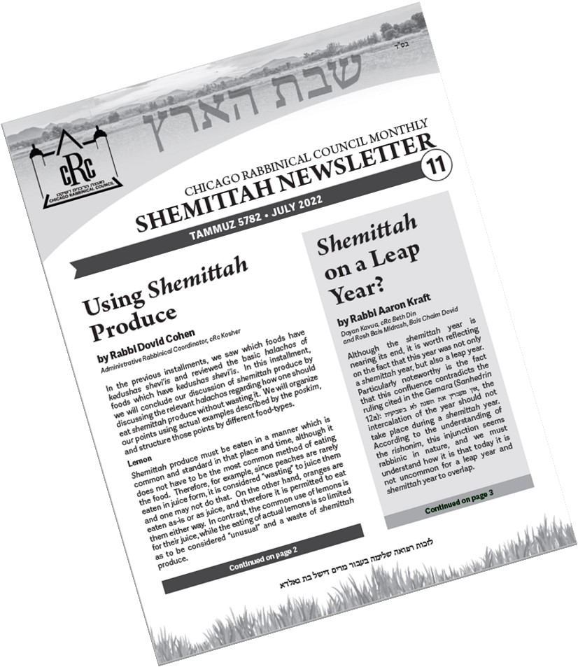 Shemittah Newsletter #11