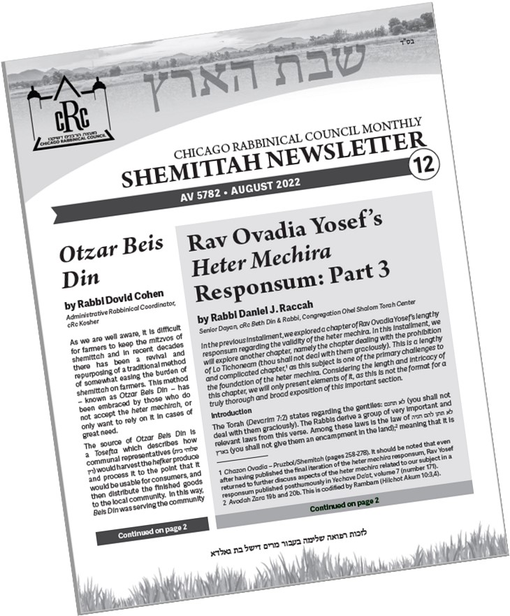 Shemittah Newsletter #12