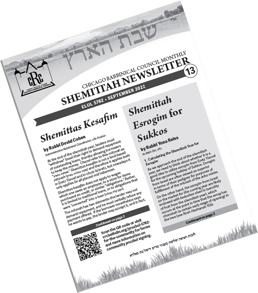 Shemittah Newsletter #13