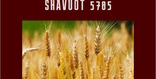 Divrei Torah for Shavuos 5785
